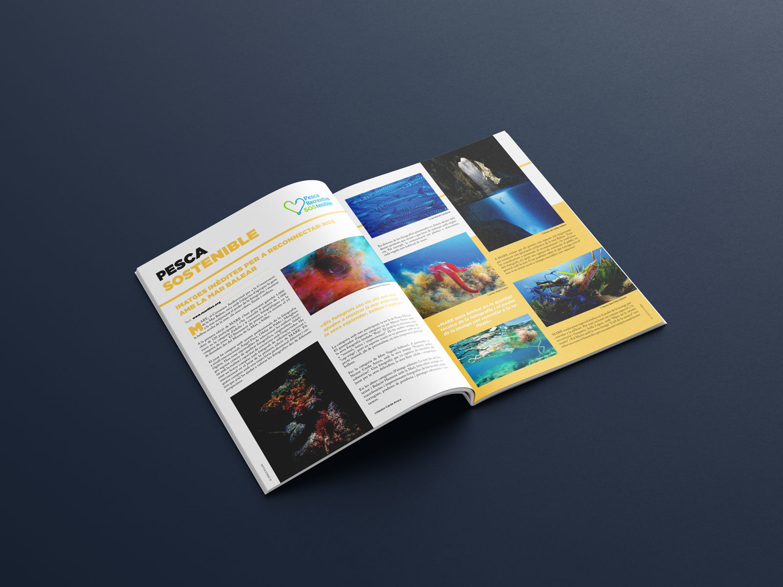 Pesca d'illes Interior Revista - Cosmic Traveler